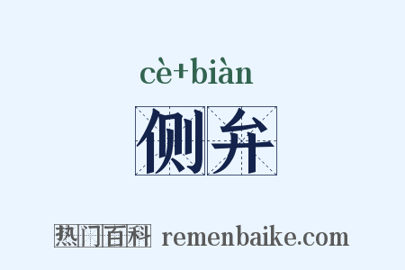 侧弁是什么意思的图片